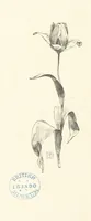 An illustration from Old Songs. With drawings by E. A. Abbey and Alfred Parsons (1889)
