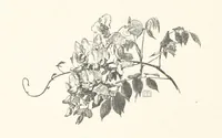 An illustration from Old Songs. With drawings by E. A. Abbey and Alfred Parsons (1889)