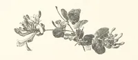 An illustration from Old Songs. With drawings by E. A. Abbey and Alfred Parsons (1889)