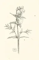 An illustration from Old Songs. With drawings by E. A. Abbey and Alfred Parsons (1889)