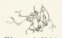 An illustration from Old Songs. With drawings by E. A. Abbey and Alfred Parsons (1889)