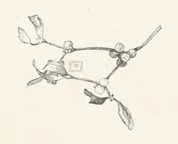 An illustration from Old Songs. With drawings by E. A. Abbey and Alfred Parsons (1889)