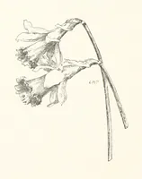 An illustration from Old Songs. With drawings by E. A. Abbey and Alfred Parsons (1889)