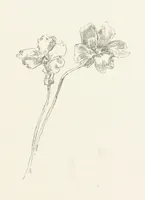 An illustration from Old Songs. With drawings by E. A. Abbey and Alfred Parsons (1889)