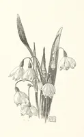 An illustration from Old Songs. With drawings by E. A. Abbey and Alfred Parsons (1889)