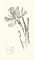 An illustration from Old Songs. With drawings by E. A. Abbey and Alfred Parsons (1889)