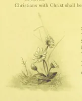 Picture 31 of 35 from Songs of the Dawn: selection from the poems of Horatius Bonar, Charlotte Murray and others (1887), leaf 33