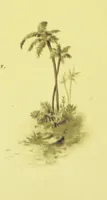 An illustration from Songs of the Dawn: selection from the poems of Horatius Bonar, Charlotte Murray and others (1887)