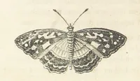 An illustration from España pintoresca, artistica, monumental, literaria y de costumbres (1843)