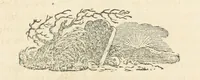 An illustration from España pintoresca, artistica, monumental, literaria y de costumbres (1843)