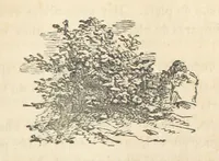 An illustration from España pintoresca, artistica, monumental, literaria y de costumbres (1843)