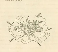 Picture 26 of 122 from España pintoresca, artistica, monumental, literaria y de costumbres (1843), leaf 79