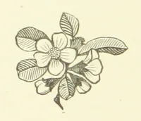 An illustration from Exiles of Fortune. A tale of a far north land (1890)
