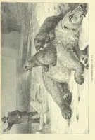 An illustration from Exiles of Fortune. A tale of a far north land (1890)