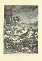 An illustration from From Squire to Squatter. A tale, etc (1888)