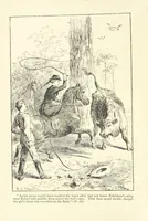 An illustration from From Squire to Squatter. A tale, etc (1888)