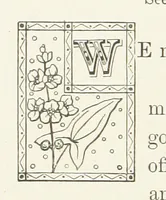 Picture 17 of 21 from Hearts of Oak. A story of Nelson and the Navy (1893), leaf 316