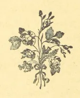 An illustration from Shoulder to Shoulder: a story of the stirring times of old (1896)