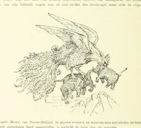An illustration from Stanley in Afrika's donkere wildernissen, etc. [Translated from “In Darkest Afrika” by H. Tiedeman (1890)