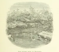 Picture 144 of 174 from Stanley in Afrika's donkere wildernissen, etc. [Translated from “In Darkest Afrika” by H. Tiedeman (1890), leaf 1109
