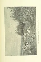 An illustration from Stanley in Afrika's donkere wildernissen, etc. [Translated from “In Darkest Afrika” by H. Tiedeman (1890)