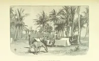 An illustration from Stanley in Afrika's donkere wildernissen, etc. [Translated from “In Darkest Afrika” by H. Tiedeman (1890)