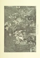 An illustration from Stanley in Afrika's donkere wildernissen, etc. [Translated from “In Darkest Afrika” by H. Tiedeman (1890)