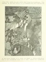 An illustration from Stanley in Afrika's donkere wildernissen, etc. [Translated from “In Darkest Afrika” by H. Tiedeman (1890)