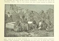 An illustration from Stanley in Afrika's donkere wildernissen, etc. [Translated from “In Darkest Afrika” by H. Tiedeman (1890)