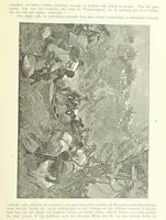 An illustration from Stanley in Afrika's donkere wildernissen, etc. [Translated from “In Darkest Afrika” by H. Tiedeman (1890)