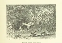 Picture 23 of 174 from Stanley in Afrika's donkere wildernissen, etc. [Translated from “In Darkest Afrika” by H. Tiedeman (1890), leaf 175