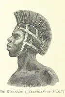 Picture 24 of 174 from Stanley in Afrika's donkere wildernissen, etc. [Translated from “In Darkest Afrika” by H. Tiedeman (1890), leaf 178