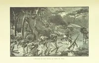 An illustration from Stanley in Afrika's donkere wildernissen, etc. [Translated from “In Darkest Afrika” by H. Tiedeman (1890)