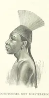 An illustration from Stanley in Afrika's donkere wildernissen, etc. [Translated from “In Darkest Afrika” by H. Tiedeman (1890)
