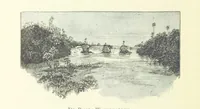 An illustration from Stanley in Afrika's donkere wildernissen, etc. [Translated from “In Darkest Afrika” by H. Tiedeman (1890)