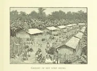 Picture 31 of 174 from Stanley in Afrika's donkere wildernissen, etc. [Translated from “In Darkest Afrika” by H. Tiedeman (1890), leaf 217