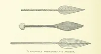 An illustration from Stanley in Afrika's donkere wildernissen, etc. [Translated from “In Darkest Afrika” by H. Tiedeman (1890)