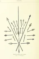 An illustration from Stanley in Afrika's donkere wildernissen, etc. [Translated from “In Darkest Afrika” by H. Tiedeman (1890)