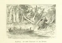 Picture 40 of 174 from Stanley in Afrika's donkere wildernissen, etc. [Translated from “In Darkest Afrika” by H. Tiedeman (1890), leaf 249