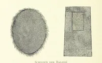 Picture 47 of 174 from Stanley in Afrika's donkere wildernissen, etc. [Translated from “In Darkest Afrika” by H. Tiedeman (1890), leaf 308