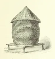 An illustration from Stanley in Afrika's donkere wildernissen, etc. [Translated from “In Darkest Afrika” by H. Tiedeman (1890)