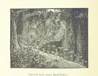 Picture 63 of 174 from Stanley in Afrika's donkere wildernissen, etc. [Translated from “In Darkest Afrika” by H. Tiedeman (1890), leaf 408