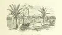 An illustration from Stanley in Afrika's donkere wildernissen, etc. [Translated from “In Darkest Afrika” by H. Tiedeman (1890)