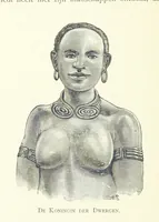 An illustration from Stanley in Afrika's donkere wildernissen, etc. [Translated from “In Darkest Afrika” by H. Tiedeman (1890)