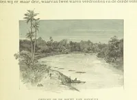 Picture 80 of 174 from Stanley in Afrika's donkere wildernissen, etc. [Translated from “In Darkest Afrika” by H. Tiedeman (1890), leaf 567