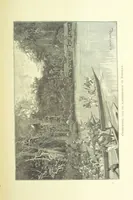 An illustration from Stanley in Afrika's donkere wildernissen, etc. [Translated from “In Darkest Afrika” by H. Tiedeman (1890)