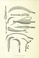An illustration from Stanley in Afrika's donkere wildernissen, etc. [Translated from “In Darkest Afrika” by H. Tiedeman (1890)
