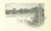 An illustration from Stanley in Afrika's donkere wildernissen, etc. [Translated from “In Darkest Afrika” by H. Tiedeman (1890)