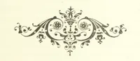 An illustration from Stanley in Afrika's donkere wildernissen, etc. [Translated from “In Darkest Afrika” by H. Tiedeman (1890)