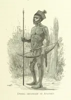 An illustration from Stanley in Afrika's donkere wildernissen, etc. [Translated from “In Darkest Afrika” by H. Tiedeman (1890)